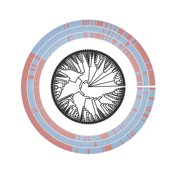 BioKlustering